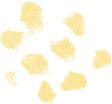 2.21 3.png